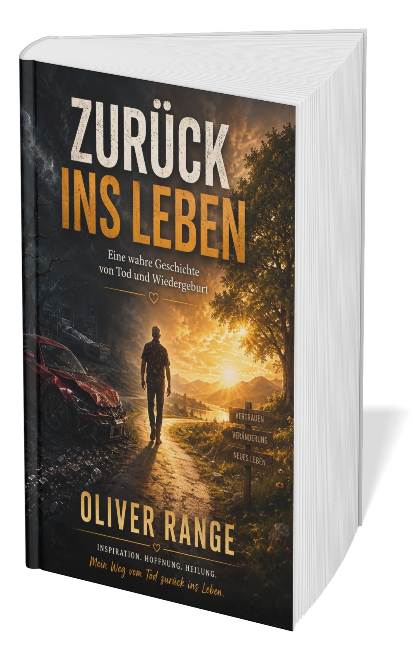 Buchcover Zurück ins Leben von Oliver Range